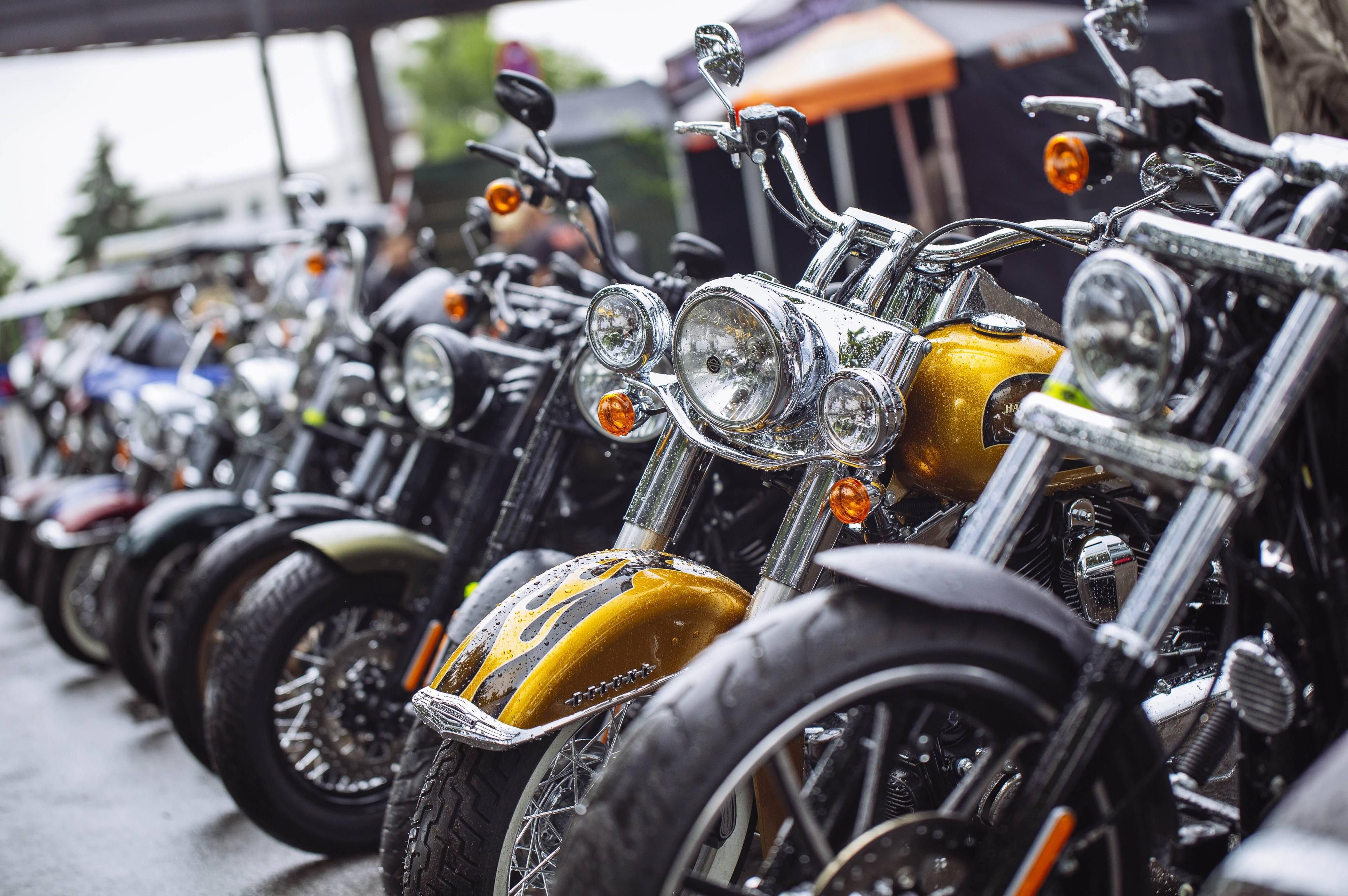 Zahlreiche Biker werden am Bitterfelder Bogen erwartet.