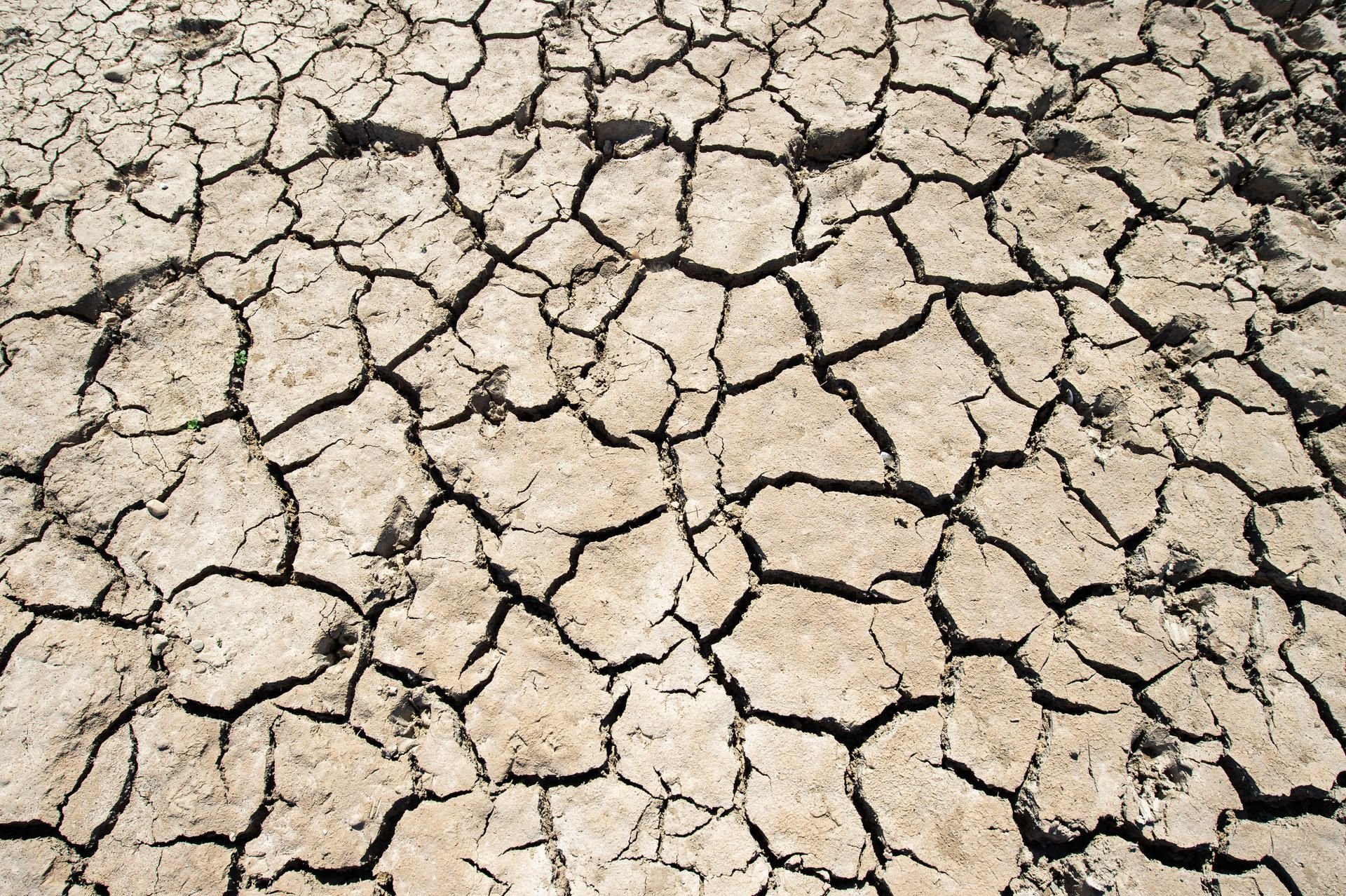 Der ungewöhnlich warme Sommer in Deutschland – hier das ausgetrocknete Rheinufer in Düsseldorf – ist noch in guter Erinnerung. Global betrachtet war 2018 das viertheißeste Jahr seit Beginn der Temperaturaufzeichnungen.