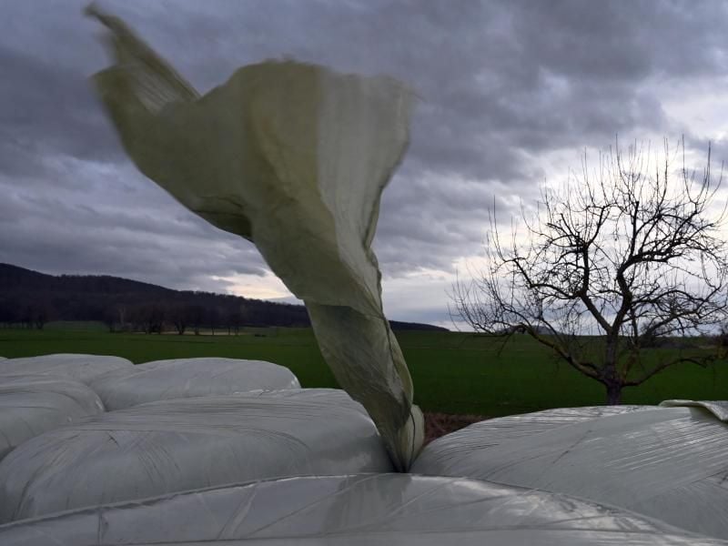 Die Plane eines Strohballens weht im Sturm. Foto: Uwe Zucchi/dpa