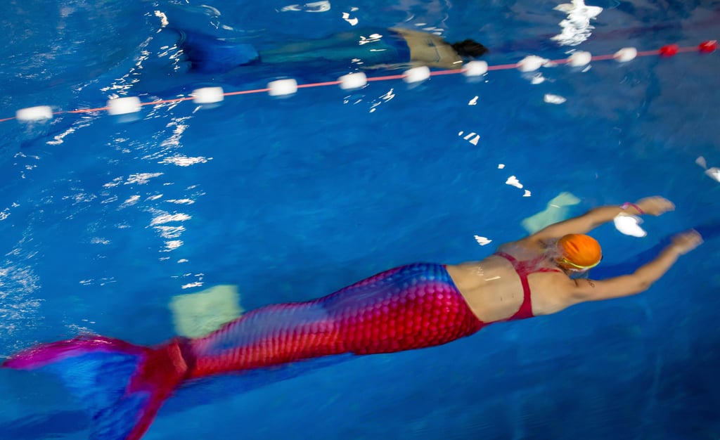 Frauen schwimmen bei den 1. Deutschen Meisterschaften im Meerjungfrauenschwimmen gegeneinander.