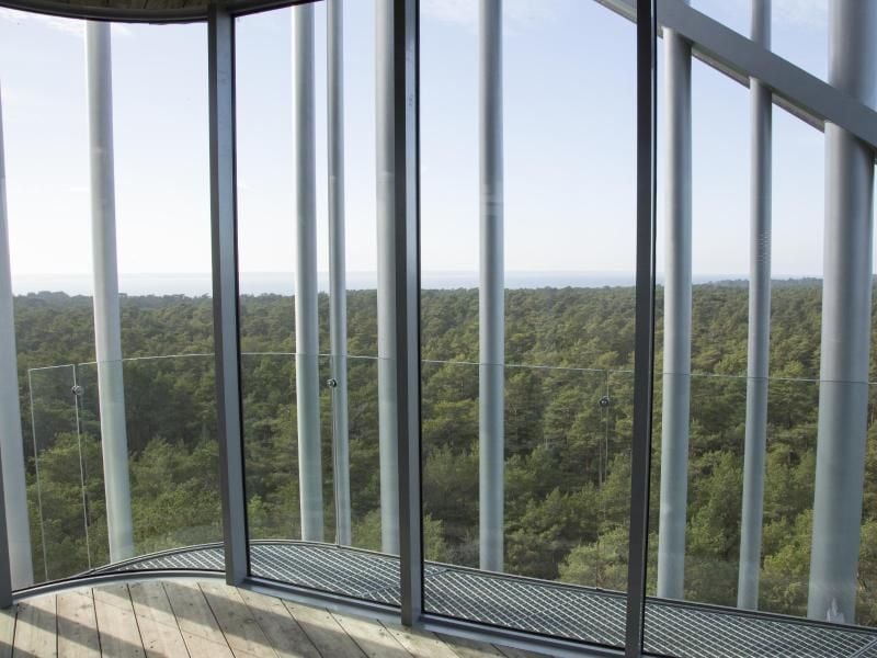 Blick von der 32 Meter hohen Aussichtsplattform des Arvo Pärt Zentrums. Foto: Alexander Welscher