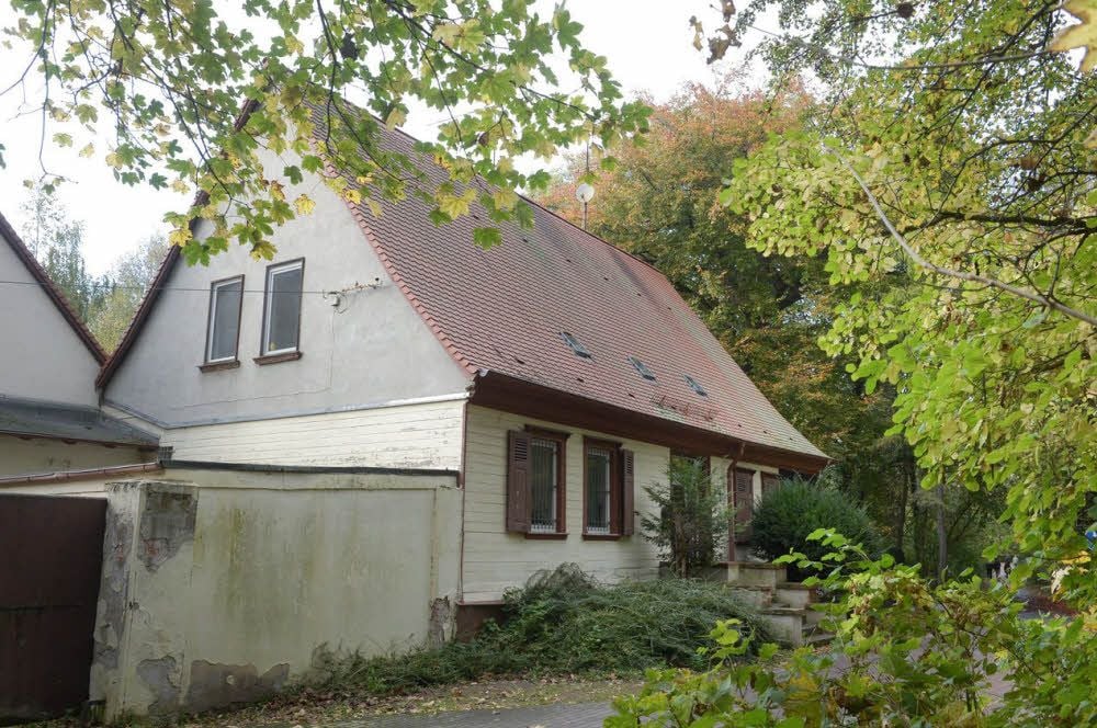 Das Köthener Tierheim in der Fasanerie.