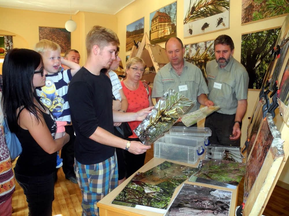 Aus allernächster Nähe bestaunen die Besucher im Betreuungsforstamt Annaburg in der Ausstellung die kleinsten „Raubtiere“ des Waldes. Die Revierleiter Olaf Thiele (Cobbelsdorf) und Axel Wendelberger (Coswig) erläutern die Bekämpfung der Kiefernbuschhornblattwespe.