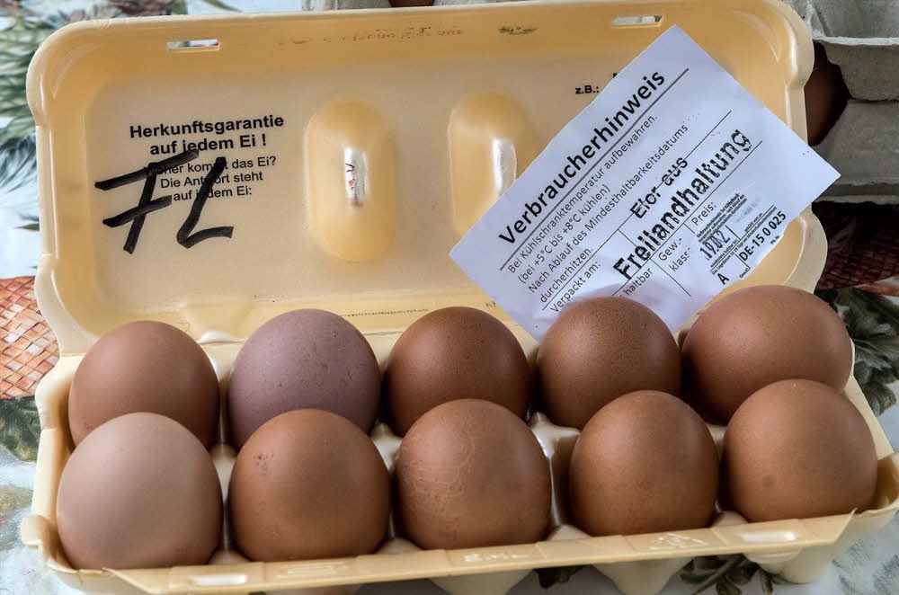 Die Zwölf-Wochen-Frist endet bald für viele regionale Erzeuger. Danach müssen die Eier als Produkt aus Bodenhaltung gekennzeichnet werden.