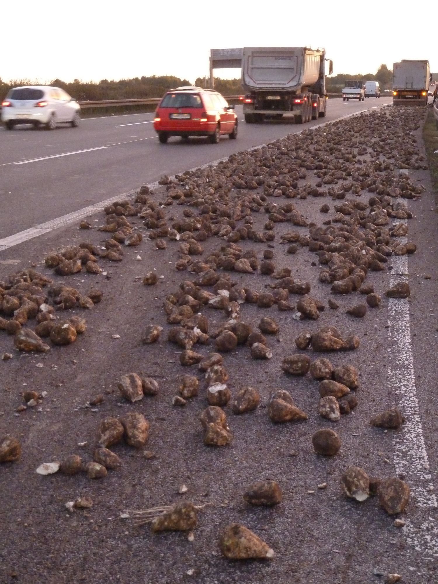 Eine Lkw-Ladung Zuckerrüben verteilte sich auf der Auffahrt der A 4 bei Erfurt-Vieselbach.