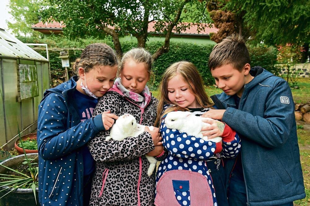 Luisa, Lia, Tilda und Leonard (v.l.) kümmern sich an der Naturgrundschule Heiligenthal unter anderem um die Tiere.