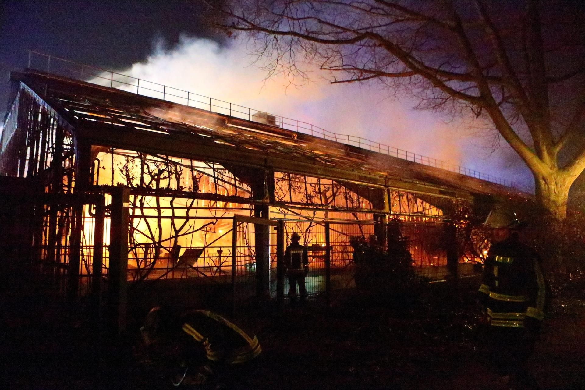 Feuerwehrleute stehen nach Löscharbeiten in der Silvesternacht vor dem Affenhaus im Krefelder Zoo.