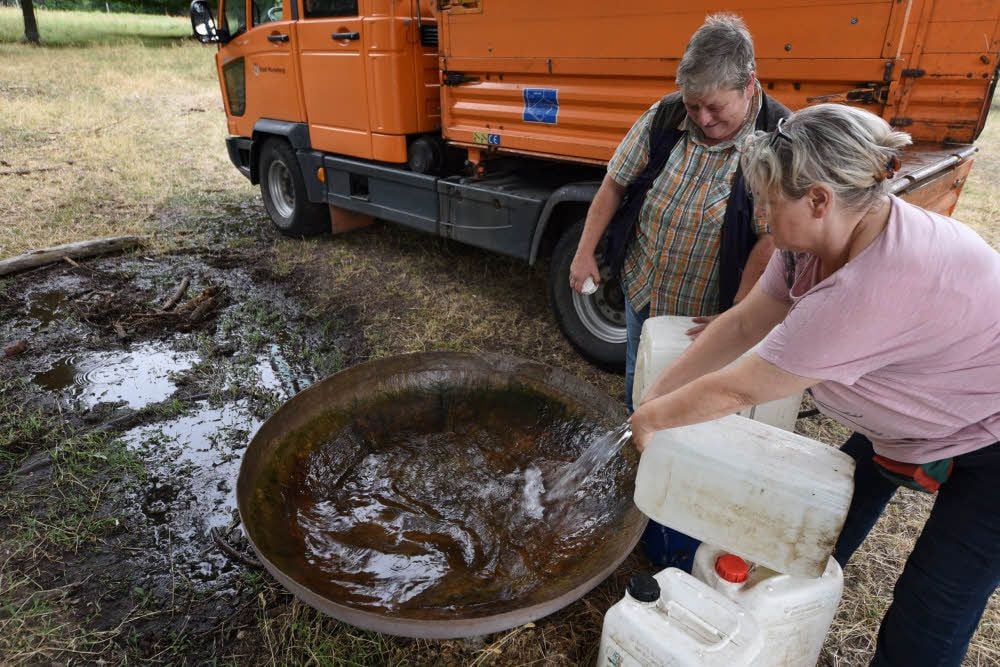 Wir bringen auch den Rothirschen frisches Wasser.