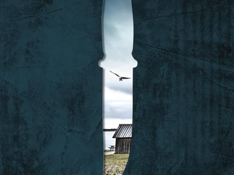 „Das Walmesser” von C.R. Neilson (Ausschnitt). Foto: Heyne Verlag