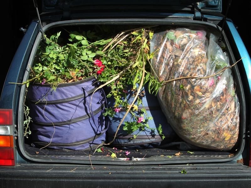 Wer seine Gartenabfälle im Wald ablädt, riskiert ein Bußgeld. Foto: Karl-Josef Hildenbrand