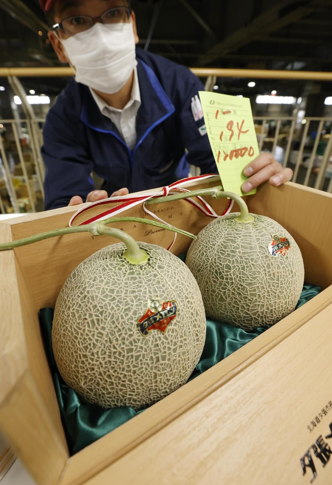 Zwei Melonen, die in Yubari in Hokkaido produziert wurden, liegen bei der ersten Auktion der Saison in Sapporo in einer Holzkiste.