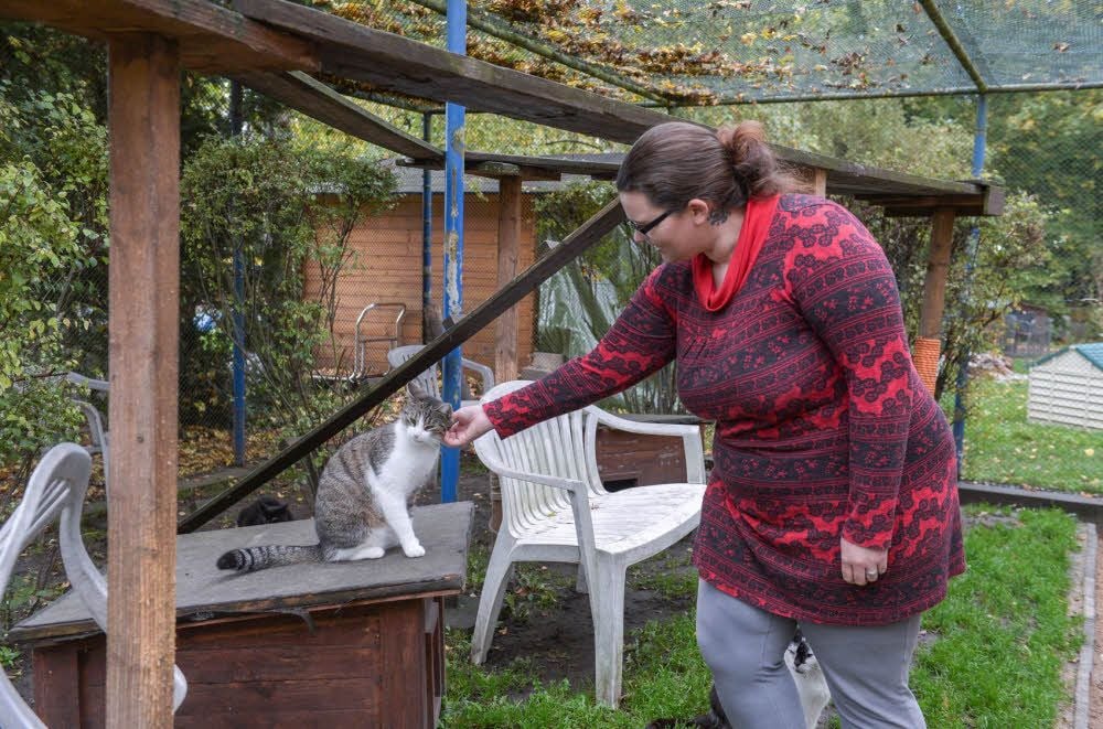 Sarah Krämer mit einer der Katzen, die im Tierheim derzeit betreut werden.