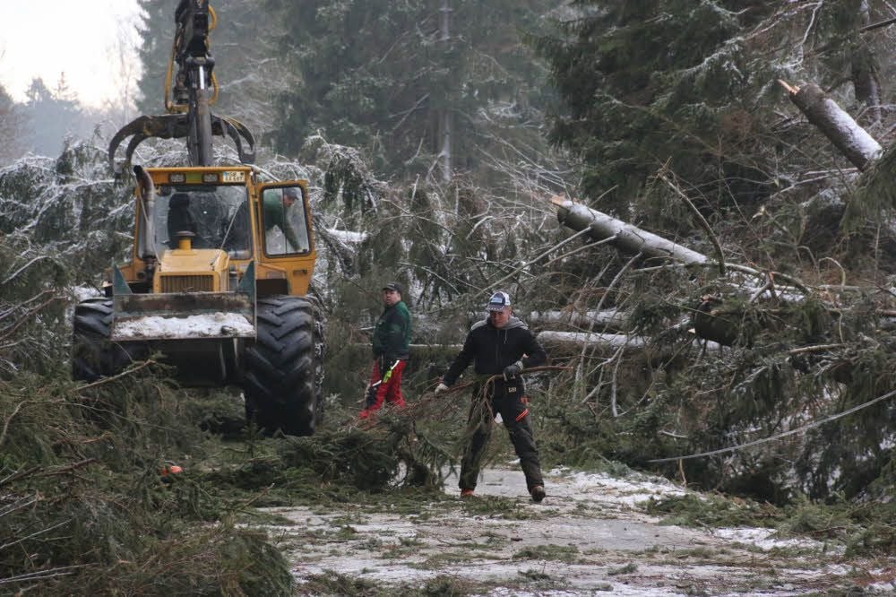 So sah es zwischen Stolberg und dem Auerberg aus. Etwa 50 Bäume stürzten während des Orkans auf die Straße.