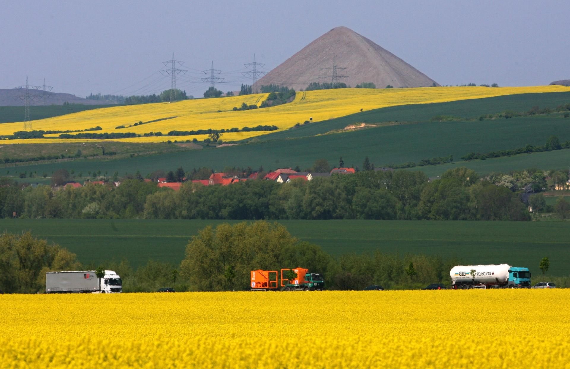 In der Rückschau erscheint der Ort der Herkunft als ein utopischer, von der Kupfersonne erhellter Ort: Blick ins Mansfelder Land mit blühenden Rapsfeldern bei Eisleben, im Hintergrund Abraumhalden vom Kupferbergbau.