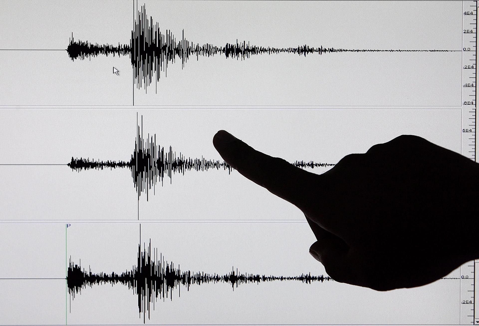 Blick auf einen Seismographen. In der Region Leipzig kam es in der Nacht zum Samstag zu einem leichten Erdbeben. (Symbolfoto)