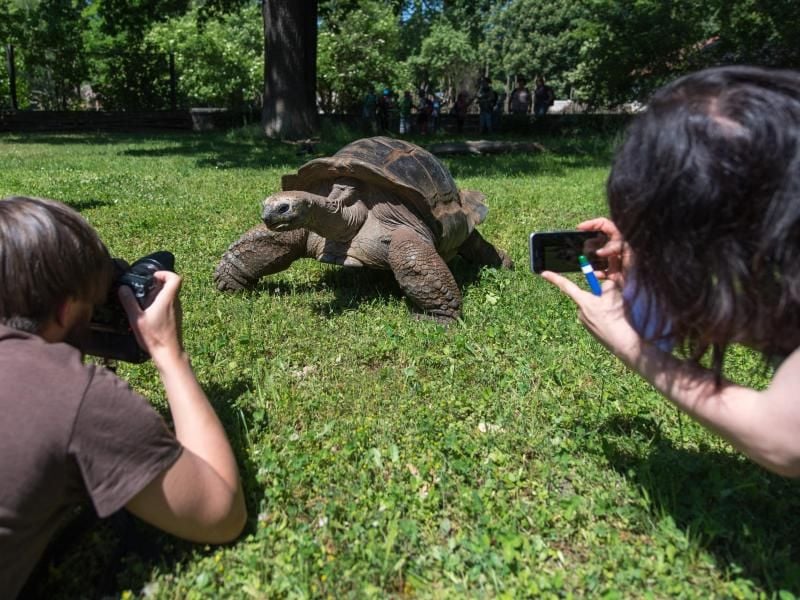 Für ein gelungenes Tierfoto muss der Fotograf meist runter auf die Knie. Foto: Monika Skolimowska