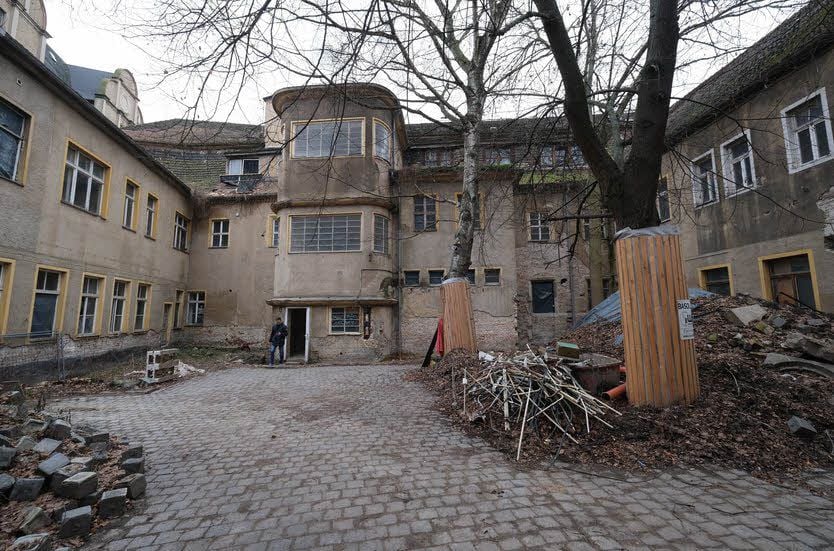 Zwei alte Bäume im Innenhof bleiben bei der Sanierung erhalten.