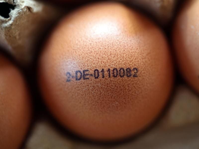 Seit 2004 müssen in der Europäischen Union produzierte Eier mit einem Code gekennzeichnet sein. Foto: Jens Büttner