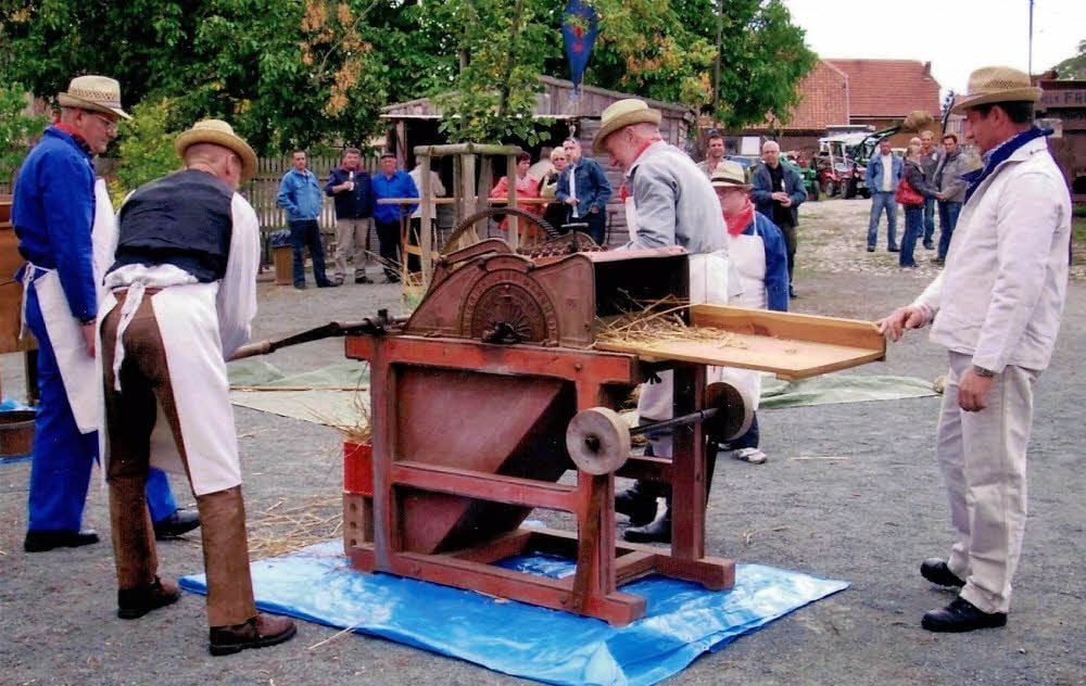 Handarbeit beim Schaudreschen in Ditfurt