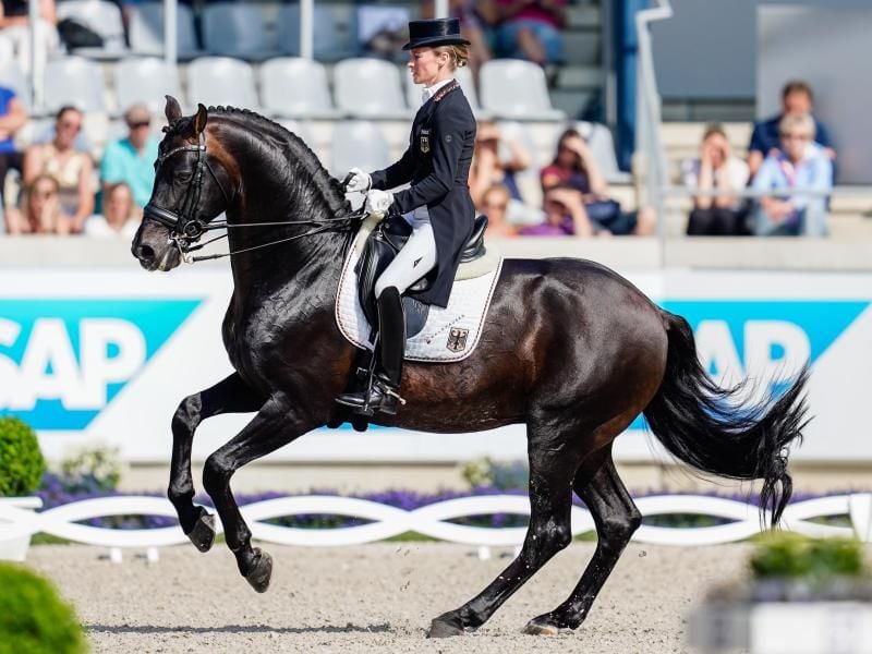 Helen Langehanenberg auf ihrem Pferd Damsey. Foto: Uwe Anspach