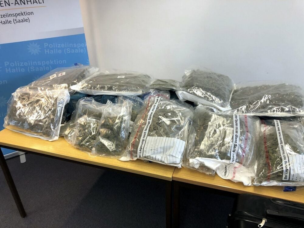Insgesamt 35 Kilogramm Marihuana stellt die Polizei in sechs Wohnungen in Weißenfels, Zeitz, Naumburg und Leipzig sicher.