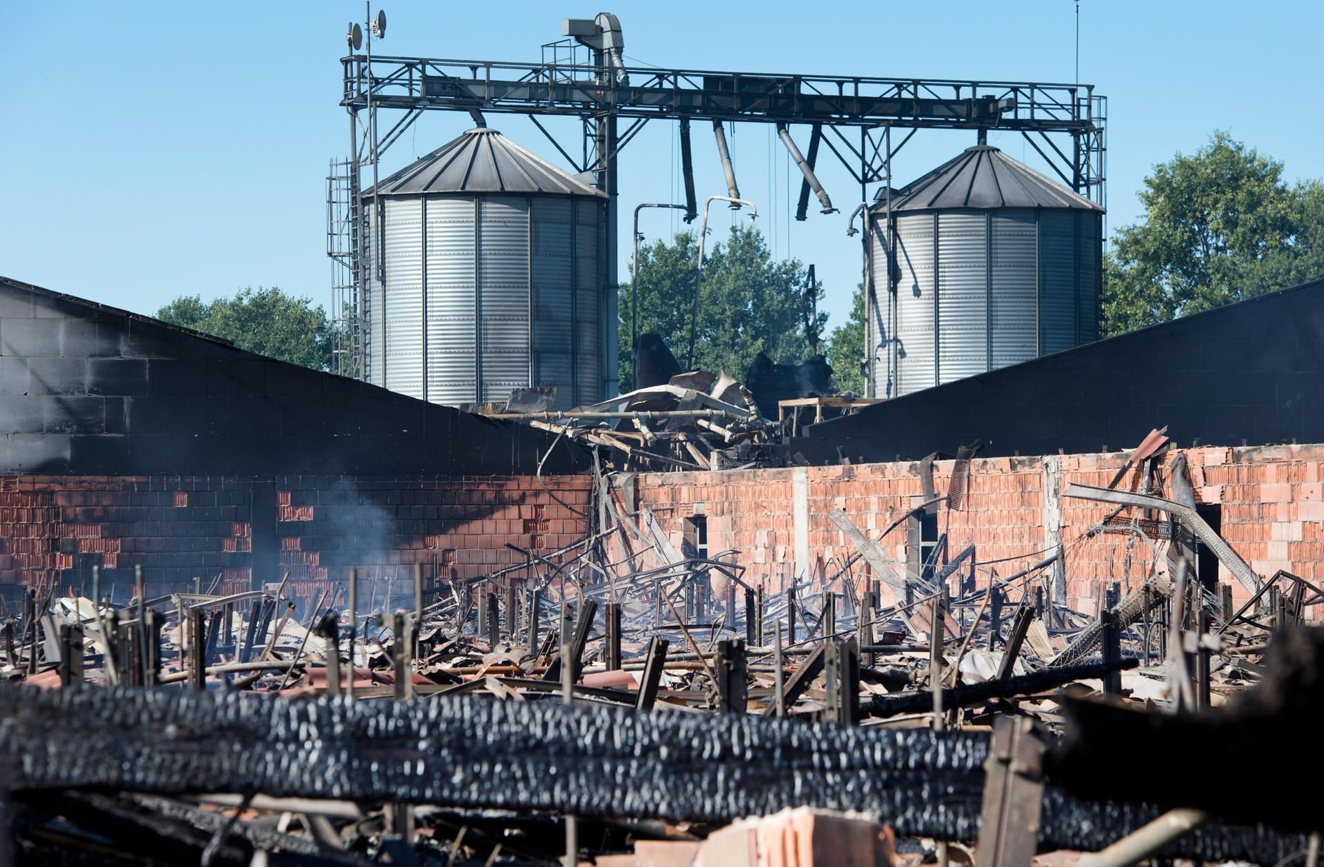 Bei einem Großbrand auf einem Bauernhof bei Rheine in Westfalen sind am Sonntag etwa 8000 Schweine verendet
