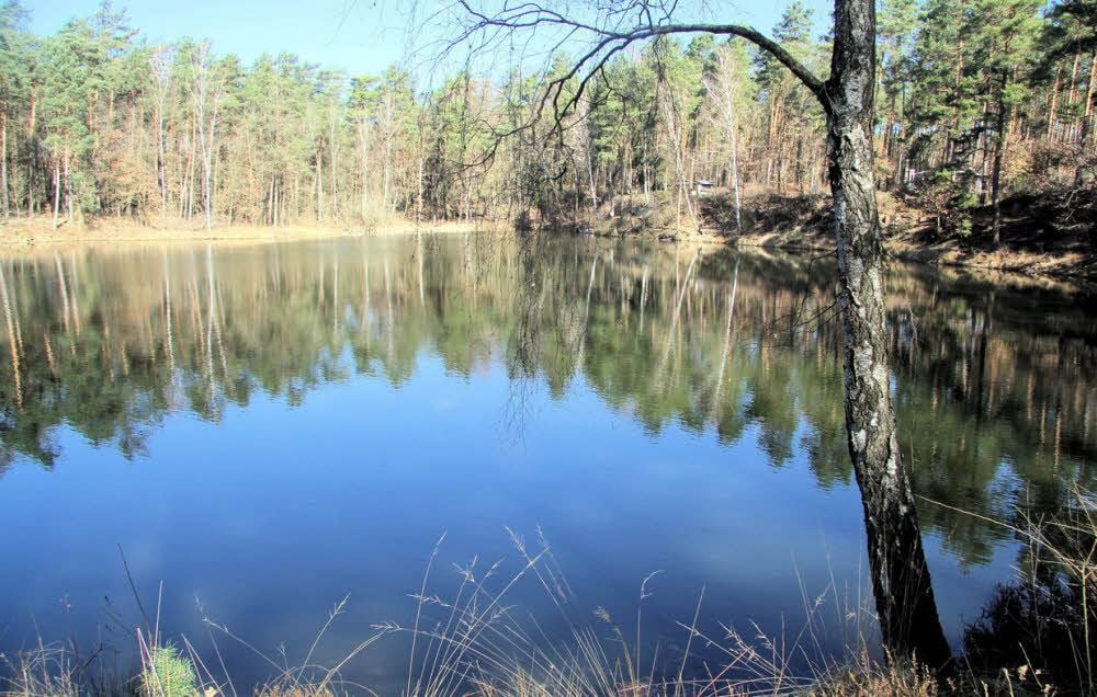 Das Herzstück der Anlage ist der idyllische See.