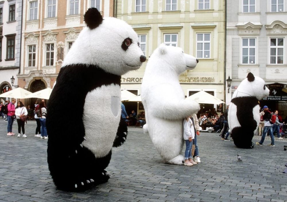 Die Touristenmetropole Prag hat genug von Straßenkünstlern, die in riesigen Panda-, Gorilla- und Eisbärenkostümen durch das Stadtzentrum ziehen.