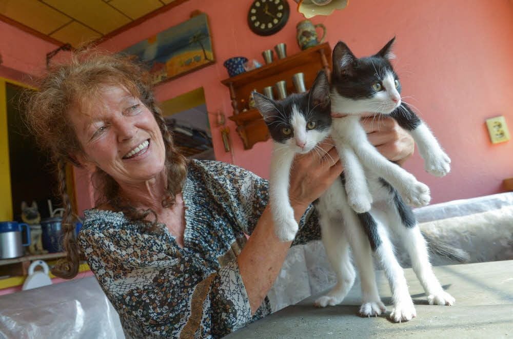 Susanne Anke sucht ein neues Zuhause für ihre Katzenbabys, von denen nicht alle aufs Foto wollten.