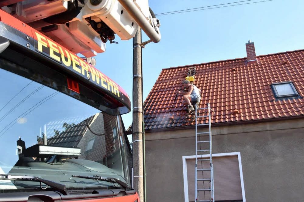 Eine Dachreinigung sorgte in Mildensee für einen Fehlalarm.