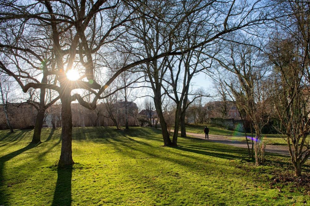 Den Naumburger Stadtpark neu gestalten und damit für mehr Nutzer attraktiv machen - das will der Naumburger Bürgerverein in den nächsten Jahren. Die Naumburger können in einer Umfrage ihre Ideen einbringen.