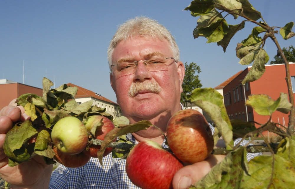 Wer Fragen zu Obst hat, ist bei Matthias Hinz vom Institut für Agrar- und Ernährungswissenschaften genau richtig. Er ist der Experte für Obstbau in Halle, kennt sich bei allen Arten bestens aus. Zur Apfelsaison dreht sich auch bei ihm alles um diese Früchte.