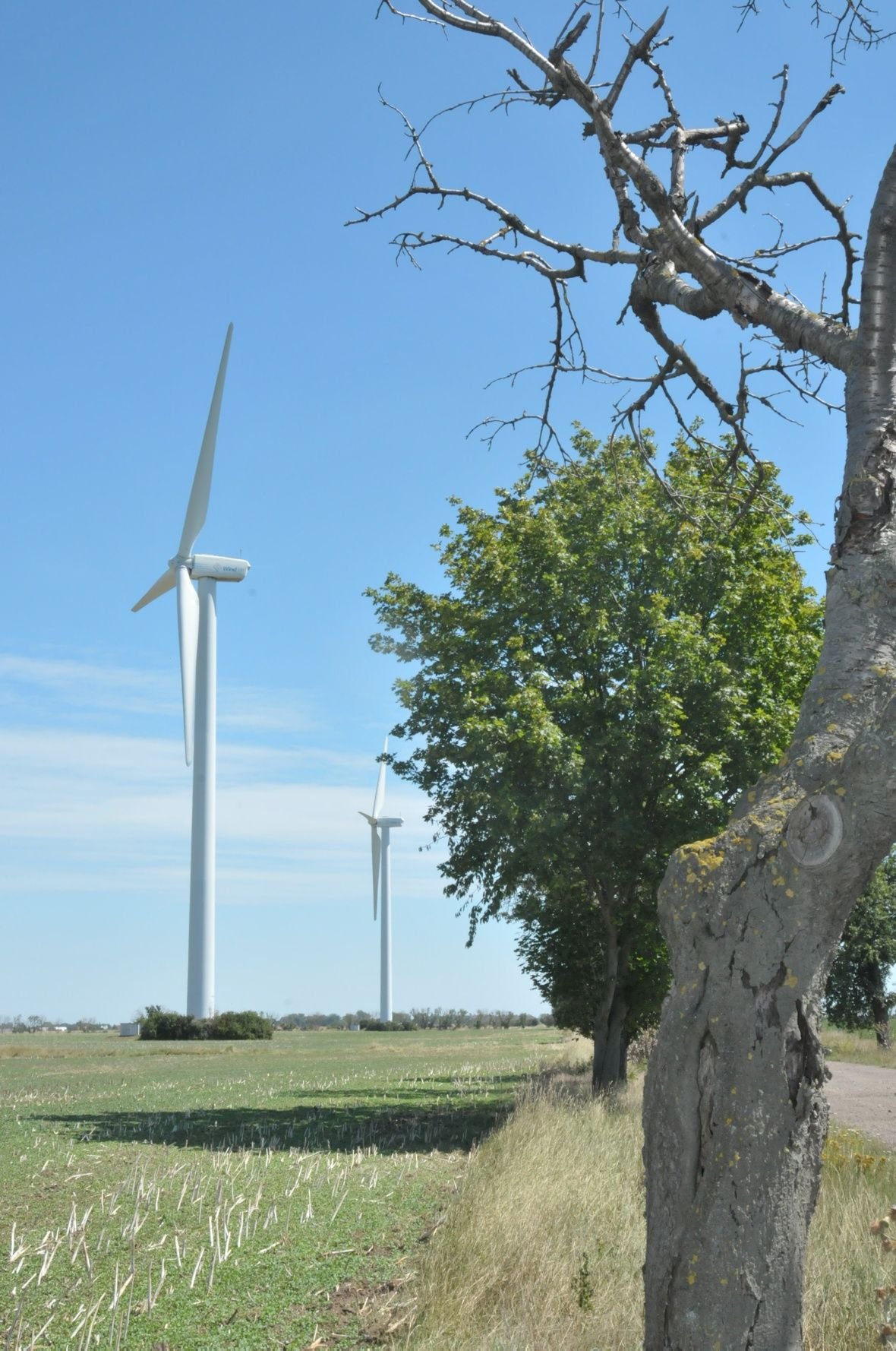 Im Windpark Pobzig zwischen Borgesdorf und Drosa stehen derzeit fünf Windräder. Fünf weitere Anlagen sollen dort noch errichtet werden.