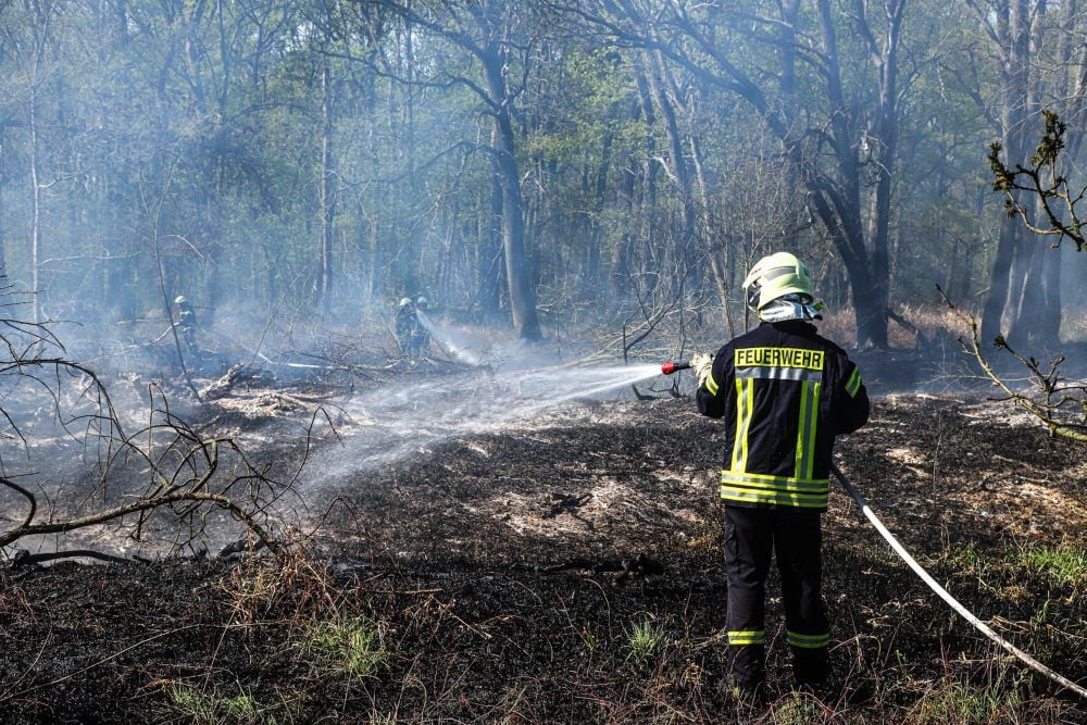 Bei Bleddin musste die Feuerwehr löschen.