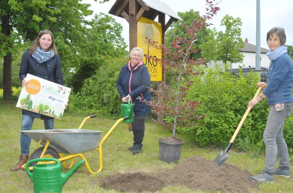 Mandy Werner (von links), Leiterin des Projektes „Natur zum Anfassen“, Ökostation-Leiterin Marika Groß und Mitarbeiterin Bettina Gollnick pflanzen in der Ökostation Neugattersleben eine Buche.