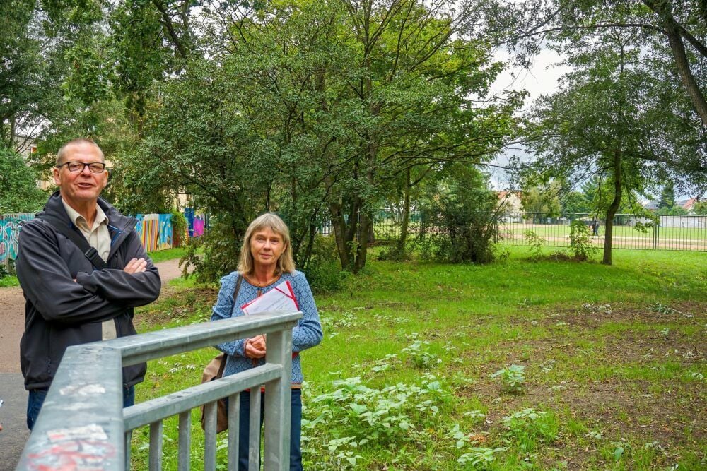 Trajuhnscher Bach in Wittenberg Trajuhnscher Bach in Wittenberg Über