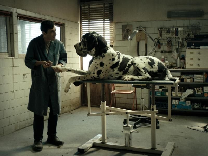 Marcello (Marcello Fonte) ist ein Hundefriseur, der sich mit einem kriminellen Muskelprotz anlegt. Foto: Alamode Film