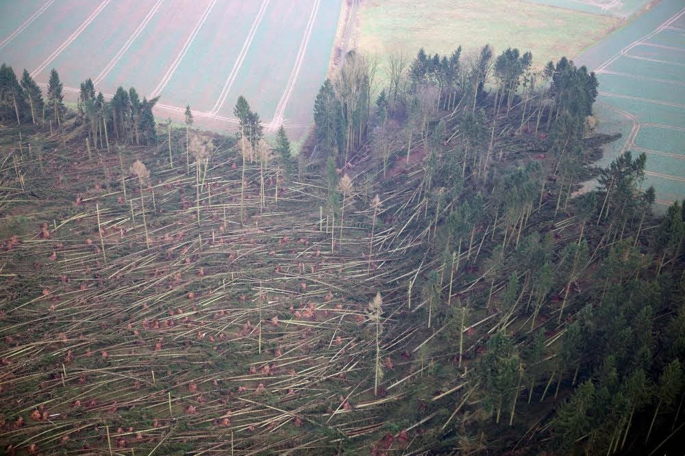 Im gesamten Harz richtete der Sturm Friederike im Januar 2018 massive Waldschäden an. Einige Fichtenwälder wurden regelrecht umgelegt.