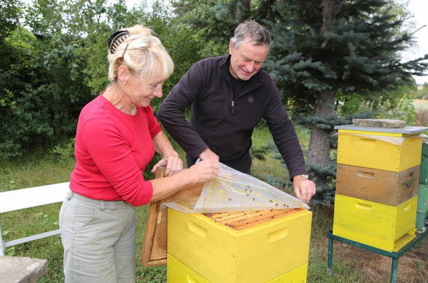 Martina und Günther Kittel prüfen, wie voll die Bienenwaben sind.