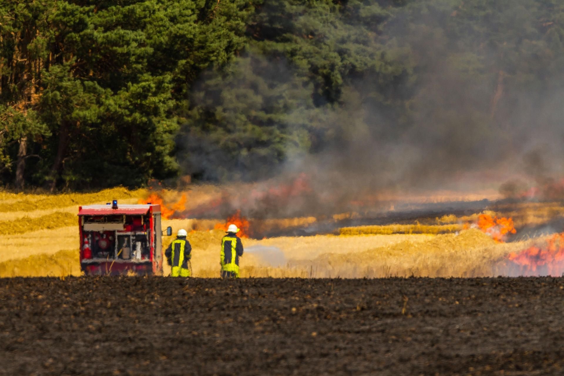 Die Gefahr von Waldbränden ist aktuell sehr hoch.