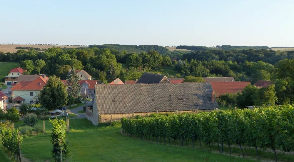 Blick auf Hirschroda von den Weinbergen der Roßbacher Winzerfamilie Frölich-Hake.