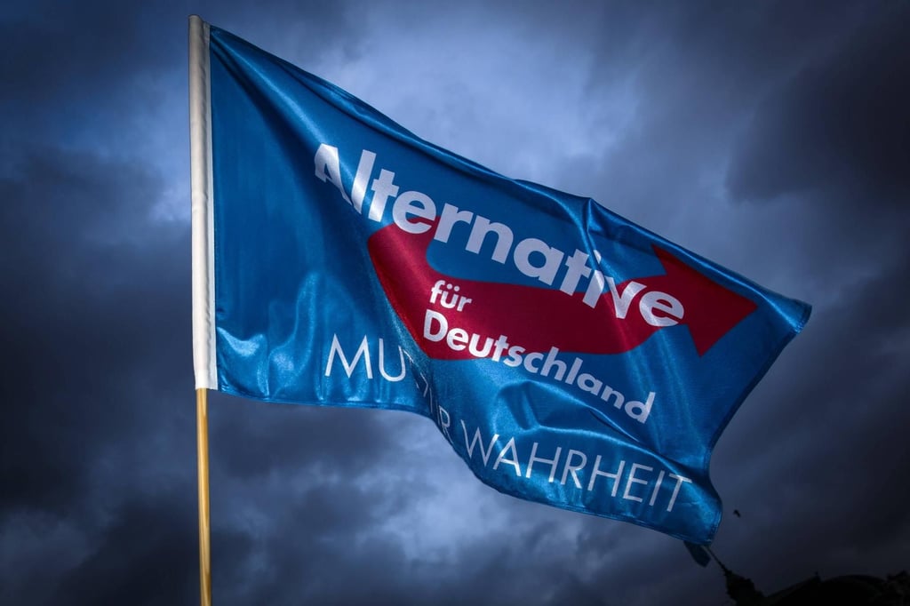 Eine Fahne der Afd. (Symboldbild)