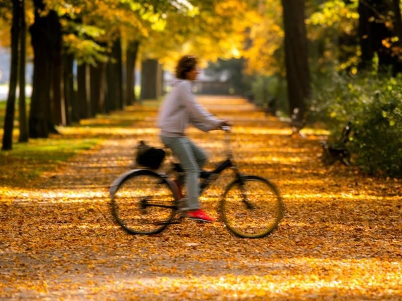 Damit Gelenke keinen Rost ansetzen, müssen Betroffene aktiv werden. Vor allem wer viel am Computer sitzt, braucht eine Extraportion Bewegung - zum Beispiel mit dem Fahrrad. Foto: Jens Büttner/zb/dpa
