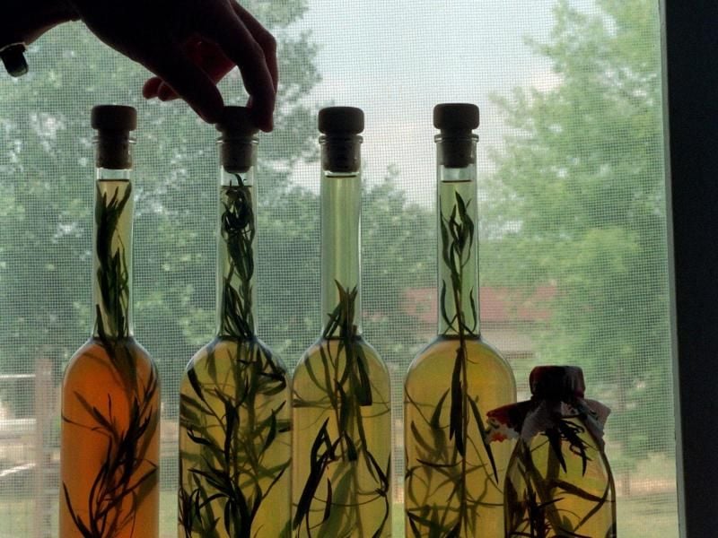 Vorzüglich macht sich der Estragon zu Fleisch und Fisch, verfeinert aber auch Öl für Salat-Dressings. Bild: Wolfgang Kluge/Zentralbild/dpa Foto: Wolfgang Kluge