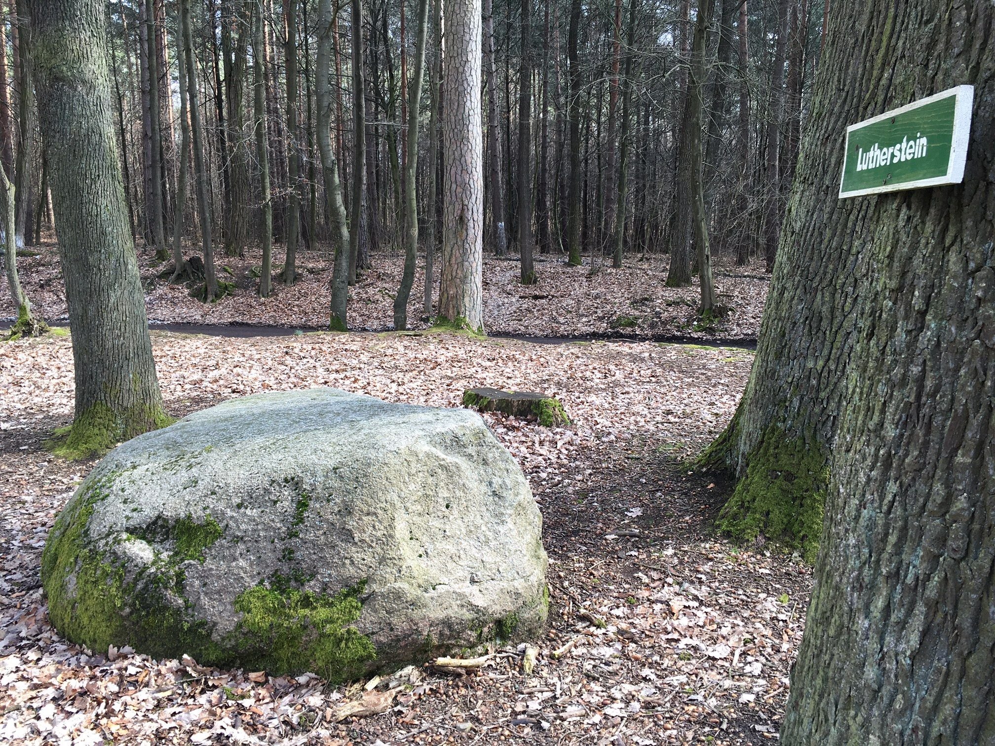 Der Lutherstein bei Lubast an der Bundesstraße B2.