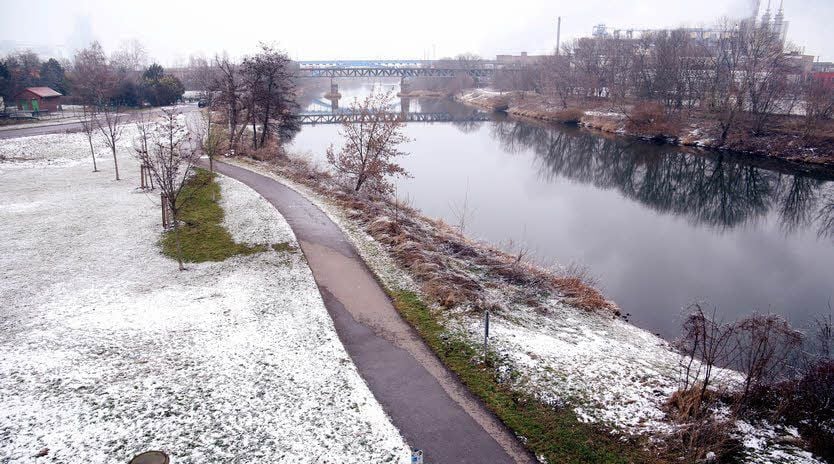 Die Wiese am Werder unterhalb der Annenbrücke in Bernburg haben Studenten für eine offizielle Flussbadestelle auserkoren.