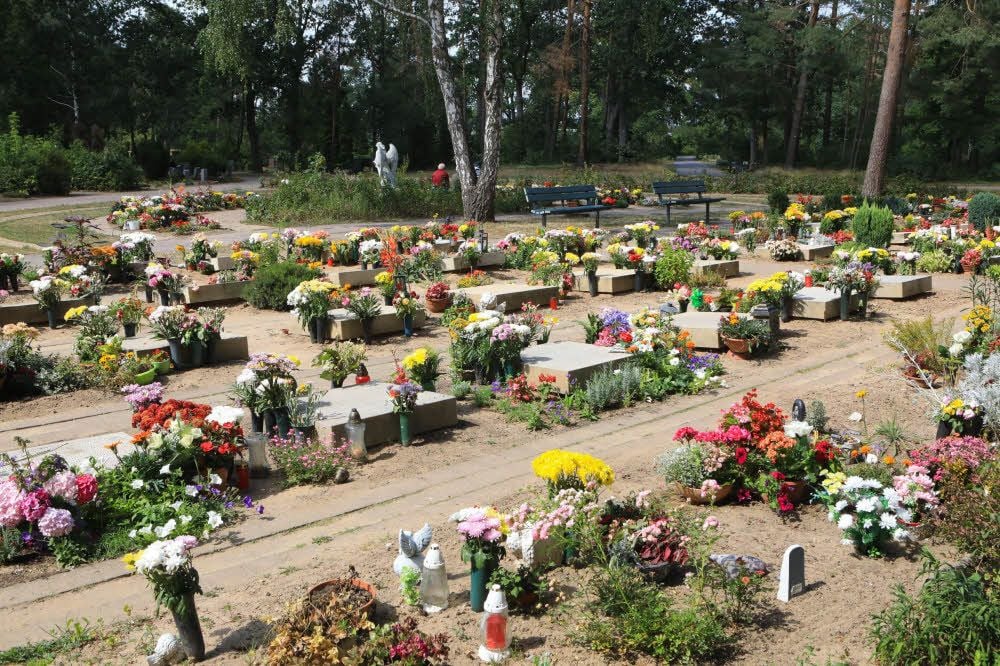 Die Urnengemeinschaftsanlage auf dem Zentralfriedhof in Kleinkühnau.