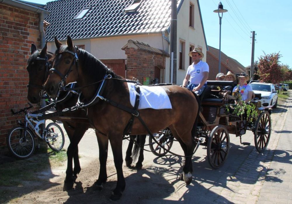 David Wernecke mit seiner von Chipsy und Steffi gezogenen Kutsche