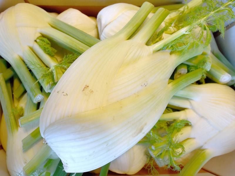 Ernährungsbewusste Menschen können Fenchel roh, gebraten oder gedünstet essen. Foto: Holger Hollemann