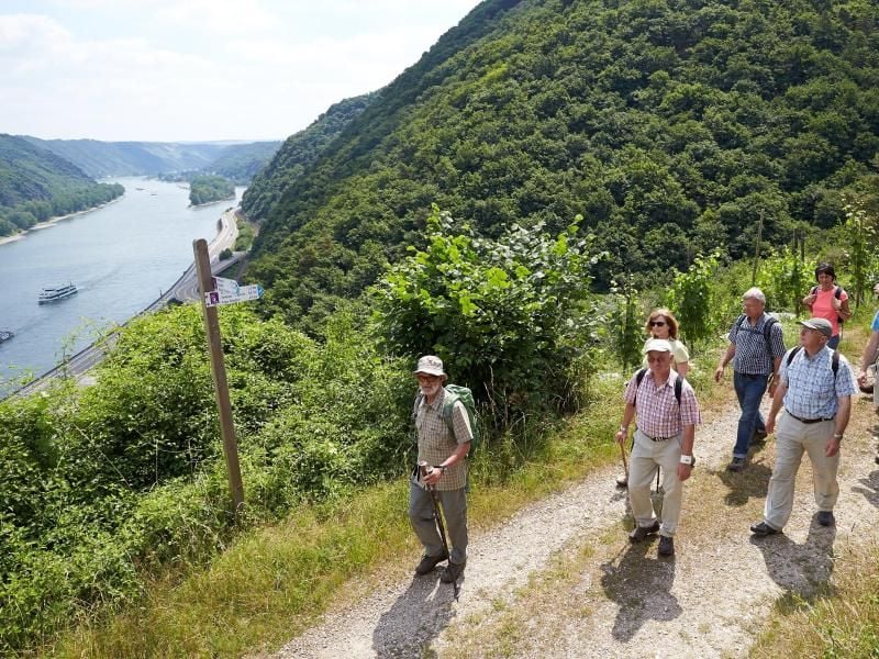 Rheinland-Pfalz baut seine Prädikatswanderwege weiter aus. Ein Gütesiegel tragen jetzt über 200 Strecken. Foto: Thomas Frey/dpa